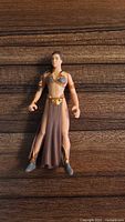 Front view of Princess Leia action figure
