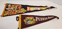 Top view showing front of Freedomland and Puerto Rico pennants with graphics and text.