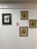 Four framed vintage botanical prints hanging on a wall, showing varying frame styles and sizes, including gold trimmed, beige decorative, and simple wood frames.
