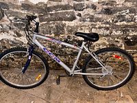 Side view of the CCM Ice silver bike leaning against stone wall showing full frame and wheels.