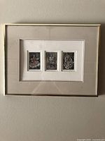 Full view of framed triple etching showing frame and mat