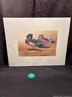 Full view of the wildlife print with wood ducks on dry grass under glass or plastic covering.