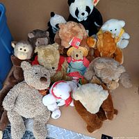 Group shot of all stuffed animals