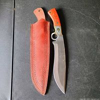 Knife and sheath full view