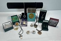 Wide view of jewelry lot showing earrings in boxes, necklaces on display stand and laid flat, and brooches in front.