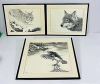 Three framed ink drawings by Peter Whelan showing a bobcat, wolf, and eagle. Two frames upright, one laid flat.