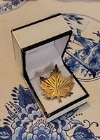 Brooch in presentation box, showing gold-tone maple leaf front