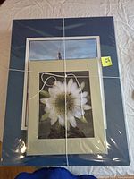 Bundle of matted photographs wrapped in plastic and tied, showing flower print and tower print