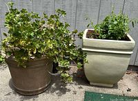 Two planters side by side: clay round planter with geranium and square ceramic planter with green plant.