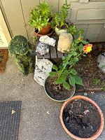 Lot showing mixed items including potted succulent, flowering plant, artificial dog topiary, garden figurines on wooden platform, empty terracotta pot, and soil-filled pot.