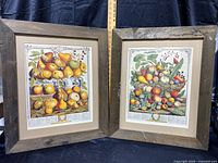 Photo showing both framed prints side by side with rustic wood frames against a dark fabric background.