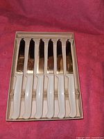 Box of six steak knives with ivory plastic handles and serrated stainless steel blades.