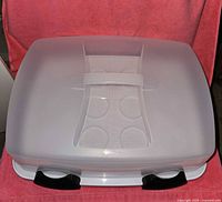 Closed Sterilite plastic container showing semi-transparent dome and black locks securing the base plate inside.