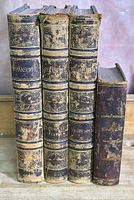 Four leather-bound volumes side by side: three large Shakespeare volumes and one smaller Dicks’ edition.