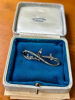 Brooch displayed in velvet-lined jewelry box