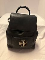 front view of backpack showing logo hardware and flap