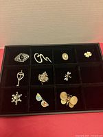 Brooches arranged in tray showing all items