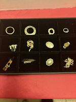 All 12 brooches arranged in tray for overview