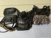 All five bags arranged together