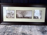 Full view of framed triptych art showing three tree photographs, frame and mat