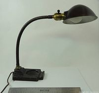 Full view of one lamp showing gooseneck, shade and base