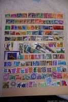 Top view of a stock sheet filled with multiple older Israeli postage stamps in various colors and denominations placed in rows.