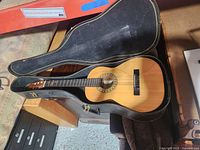 Guitar inside open hard case showing overall instrument