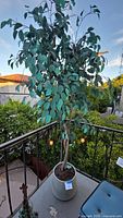 Full view of the lifelike faux ficus tree standing on a balcony with green foliage background.
