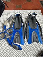 Full set showing Sea-Doo mask, snorkel, and pair of fins in blue and gray on patterned surface