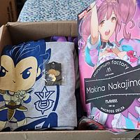 Box of anime clothes with visible character print and pin
