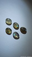 Five natural labradorite cabochons laid out showing blue flash under light; oval and pear shapes visible.