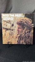 Front cover of the vinyl LP titled 'Into The Past... Terry Jacks Greatest Hits' showing a close-up image of Terry Jacks in a field of tall grass.