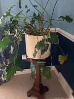 Full view of the wooden plant stand with the potted Philodendron plant placed on top. Shows size and condition of both plant and stand.
