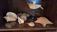 Shelf with weathervane decor and various ocean-themed shells and coral pieces for identification and condition assessment.