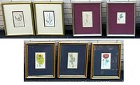 Seven framed botanical prints displayed upright showing mat color variations