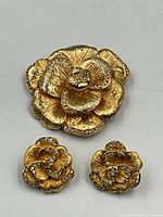 brooch and earrings full set