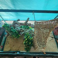 Top-down view inside the terrarium showing sand substrate, faux plants, basking logs, and climbing net.