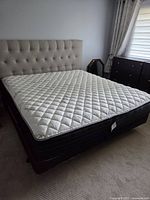 Full view of bed with tufted headboard, mattress, and box spring