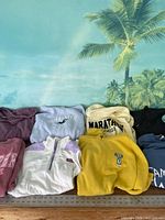 Photo showing all 8 sweatshirts folded or laid out flat in a grid, showcasing various colors and logos of different brands including Hollister, Marathon, Vineyard Vines, Sassy.