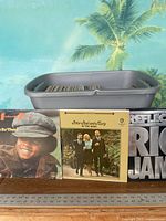 Photo showing part of the vinyl LP collection in a grey plastic bin, with three albums prominently displayed: Michael Jackson "Got To Be There", Peter, Paul and Mary "In The Wind", and a "Reflects Rio Jam" album.