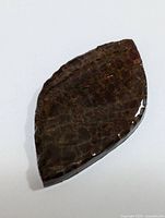 Top angle photo of marquise-shaped Canadian Ammolite gemstone with polished surface, showing natural reddish-brown and subtle iridescent pattern.