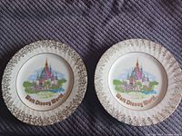 Front view of both matching Walt Disney World plates
