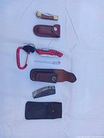 All items laid out: 3 knives/blade, sharpening steel, 3 sheaths