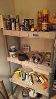 Shelf with assorted cans of paint, glue, caulking tubes, small bottles of chemical liquids and adhesives.