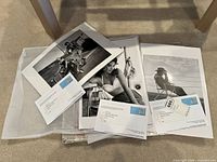 Three loose black and white photographic prints with artist statements from Art on Royal, showing images of James Dean, Marilyn Monroe with Sammy Davis Jr, and Elizabeth Taylor.