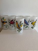Front view of all six frosted Hazel Atlas bird glasses