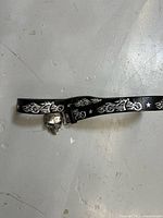 Full belt coiled showing flame graphics and skull buckle