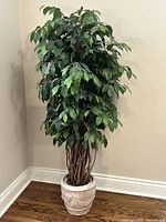 Front view of artificial Ficus tree with green leaves and twisted brown stems in decorative white plaster pot.