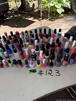 Overview photo of all nail polish bottles arranged on a table outdoors, showing about 52 bottles in various colors and sizes.