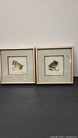 Two framed fishing fly replicas side by side on a black surface against a neutral background.